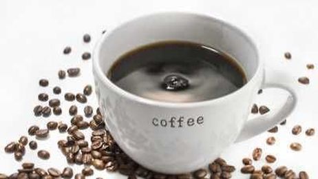 Benefits of the bean