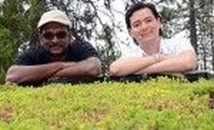 Green roofs even greener at UBC-O