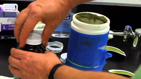 Paper, Plastic or Glass?