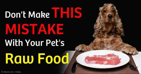 Is Your Raw Pet Food Nutritionally Balanced?