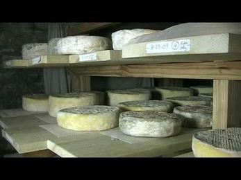Artisanal, Farmstead Kefir Cheese