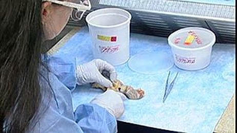 How to Avoid Contamination Around the Laboratory