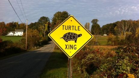 The ten weirdest road signs