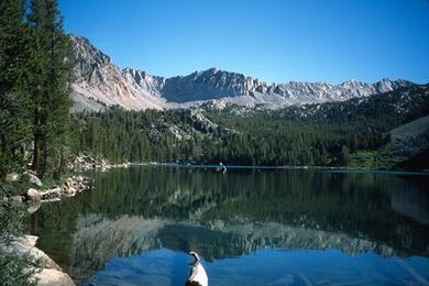 The Green Life: Ideas for living well and doing good from Sierra magazine