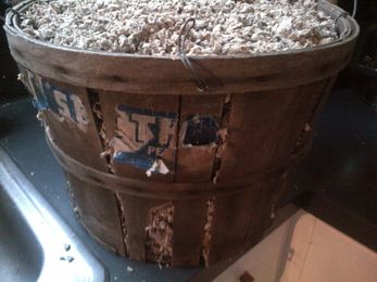 {how to} Cold Storage 101