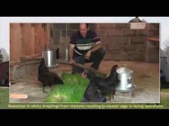 Hobby Poultry Farmer Explains Success with FarmTek's Fodder-Pro Feed System