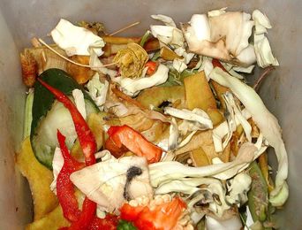Food waste