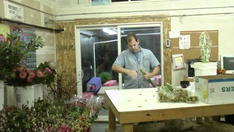 How To Prepare Tuberose from Mexico