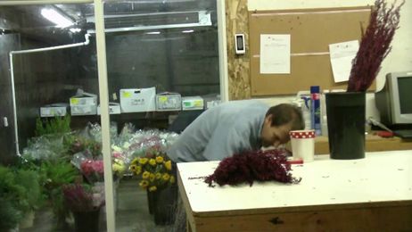 How To Prepare Desert Willow Tinted Red From California