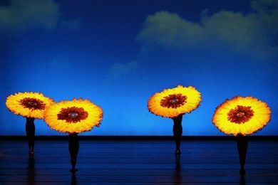 A Pruned Garden of Delights