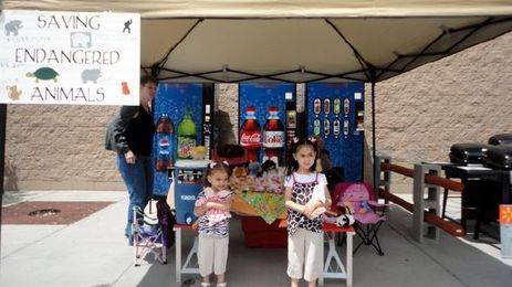 Sisters, only 5 and 3 years old, sell cookies to save animals
