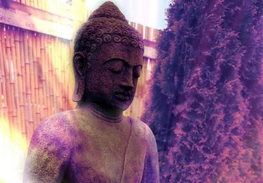 Tiny Wisdom: The Tiny Wonders We Take for Granted