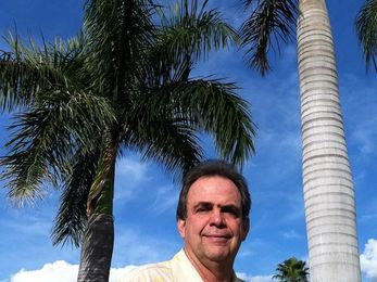 Saving the trees and preserving landscape