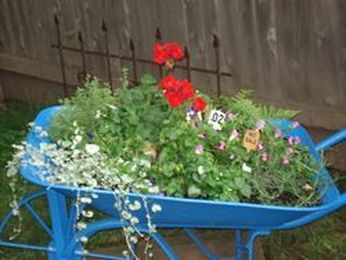 Customer Creations Spotlight!  Nancy & Victor Minnick's Garden.