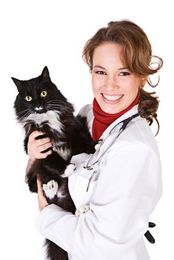 How to manage your pet's veterinary bills