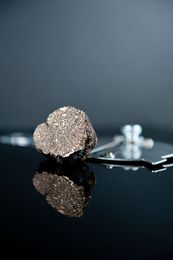 Biscuit aux Truffes Noires