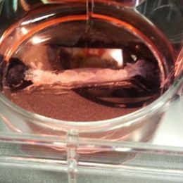 Synthetic meat grown in Dutch lab