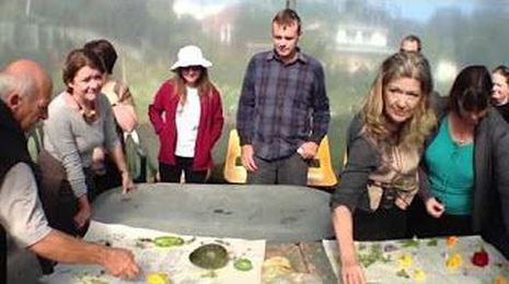 Teaching Seed Saving in the Garden