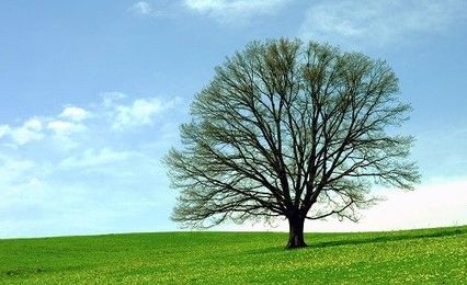 Carlisle Boiler Installation: Another Happy Customer!