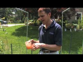 How to Make Compost Tea