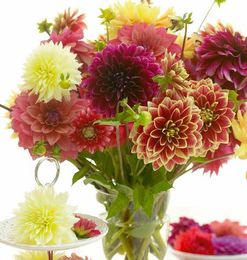 Fight Urban Blight, make some seed bombs!