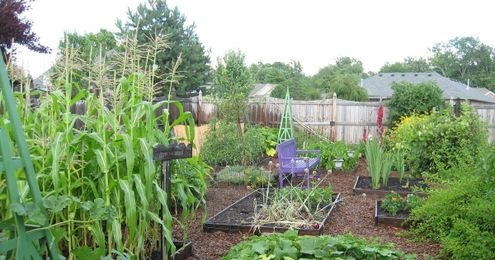 Pinning up a vegetable garden