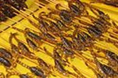 20 Best/Worst Foods on a Stick