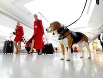 Customs acts as screen against potential eco-threats