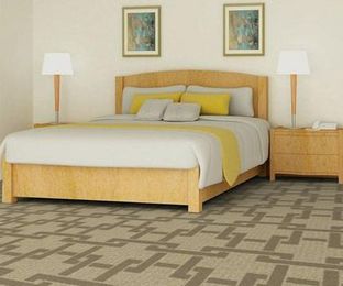 Searching for A New Carpet Look for your Hotel or Motel?