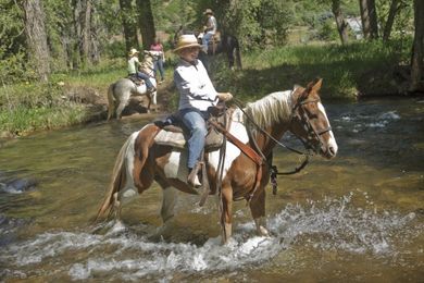 Interesting Info to Bring Along on Horseback Riding Vacations