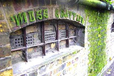 6 Fuzzy Ways to Spruce up Your Space Using Moss!