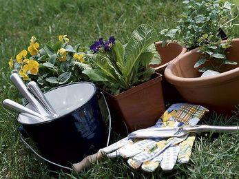 Your Garden: Perennials And Crab Grass