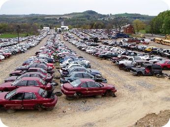 Why on Earth Would You Go to an Auto Salvage Yard?