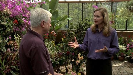 KSMQ's "Garden Connections" Orchids/Cooking With Greens/Planting Seeds