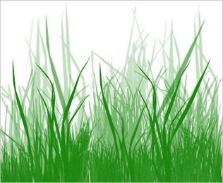 Allergies to Cut Grass