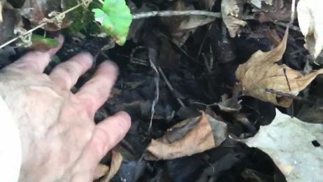 Exploring a Rare Algific Talus Slope