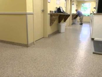 Floors for Cement Coverings