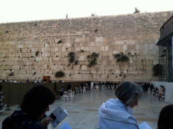 This Wall is Mine, Too