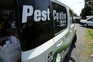 Homeowners Skimping On Pest Control Due To Recession [AUDIO]
