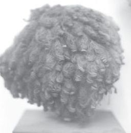 Ancient Egyptian hair and wigs.