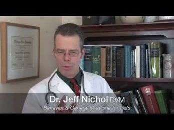 What I Do by Dr. Jeff Nichol