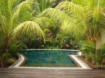 How to Treat Your Pool Without Chemicals