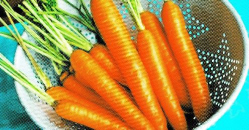 8 Foods That do Good for Your Hair ...