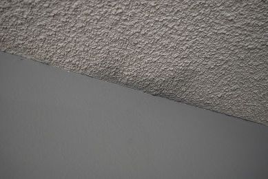 Home Renovation: 50 Shades of Gray and Painting Styles