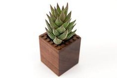 This Modified Desktop Computer Uses its Own Heat to Grow Plants