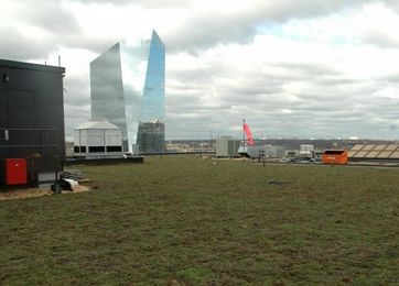 PECO roof proves the grass is always greener