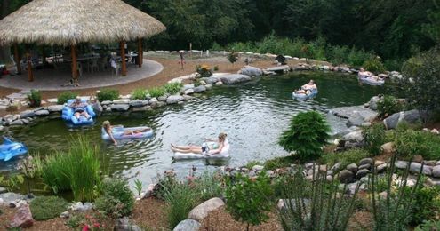 Ponds just go with the flow