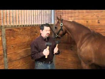 What To Avoid In An Equine Chiropractor by Mark DePaolo, DVM