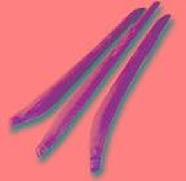 Herbs often used in Thai cooking