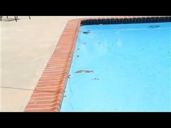 Pool Safety & Maintenance : Tips on Pool Cleaning